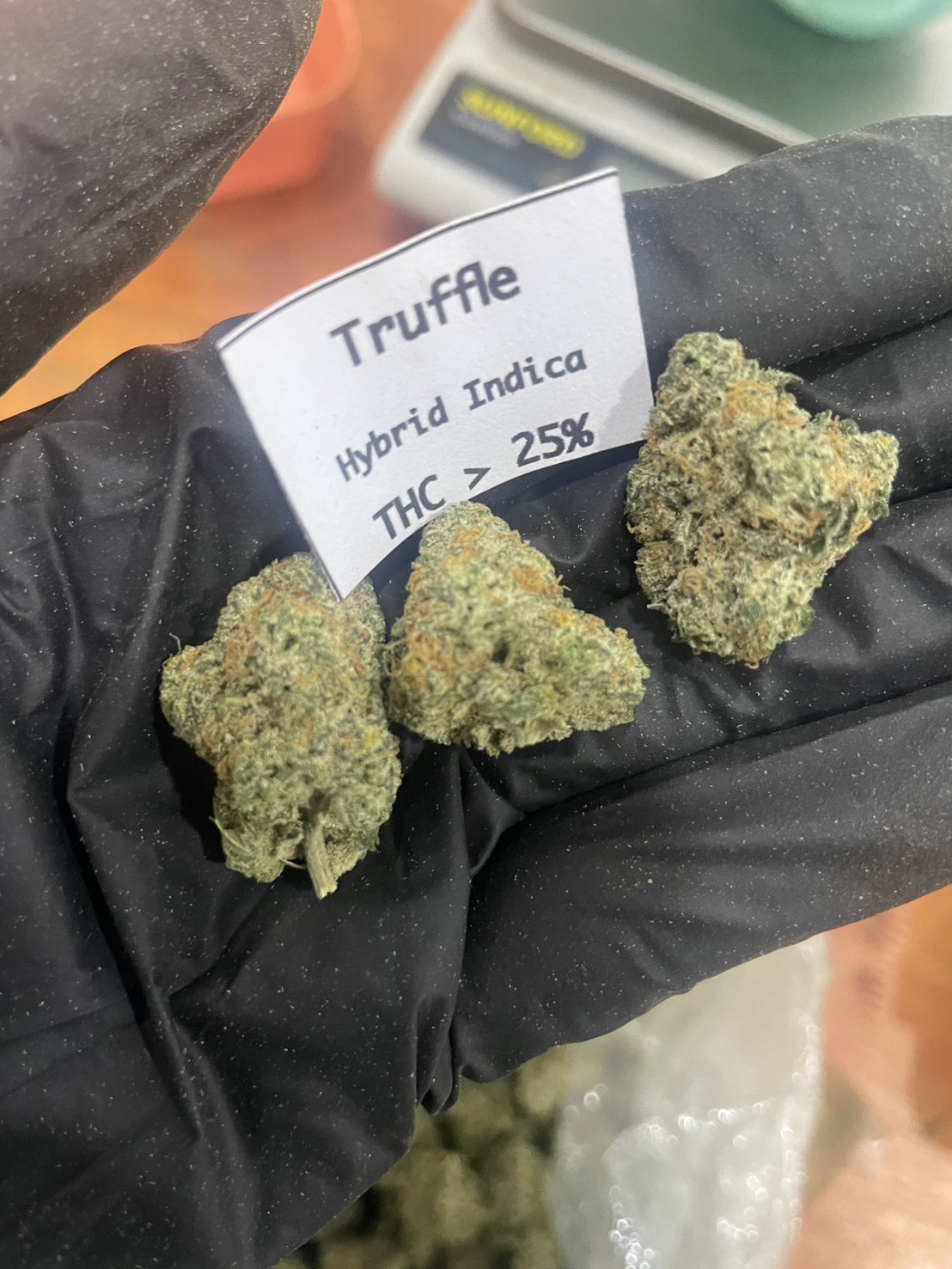 Truffle